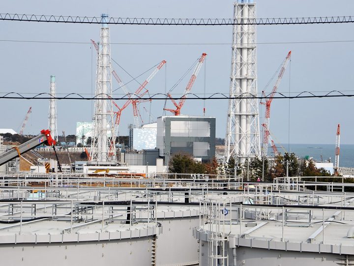 Fukushima en Japón: «Aguas dentro de los límites y pesca garantizada». No obstante, las preocupaciones están en alza.