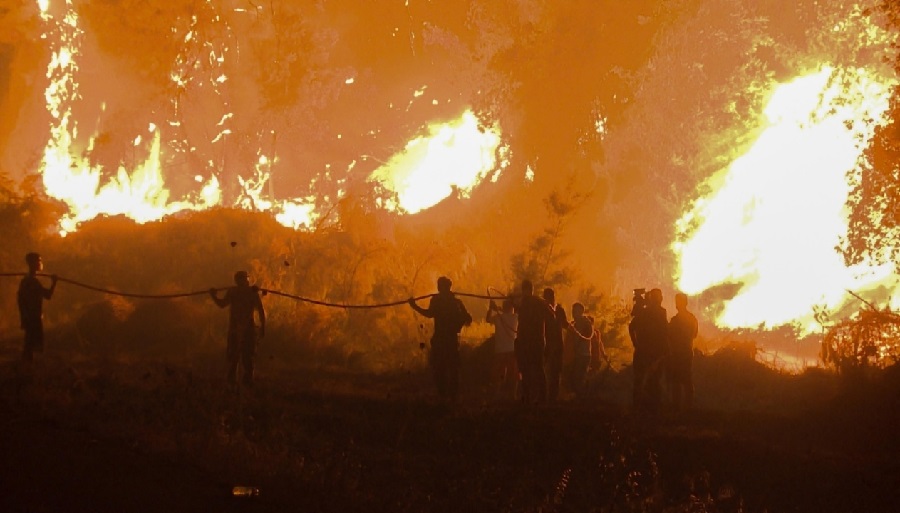 Drama en Tenerife: La Implacable Batalla Contra el Fuego Desencadenado