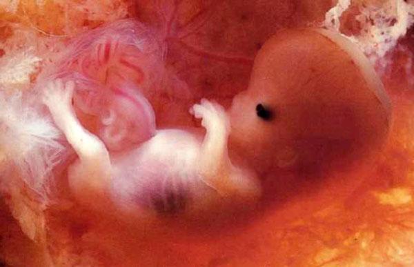 La gran pregunta respondida: ¿cuándo realmente empezamos a ser conscientes?