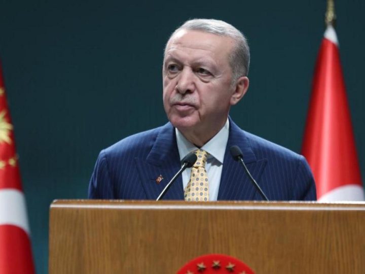 El gran regreso: ¿Erdogan en Egipto para unir fuerzas o para dividir aún más?