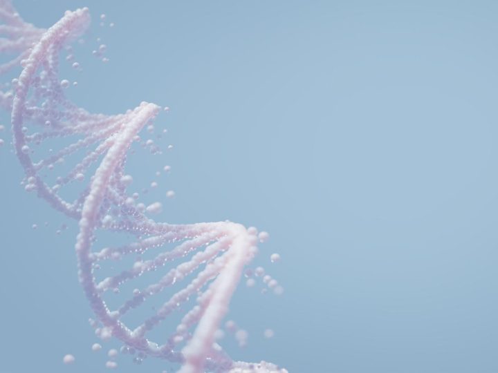 Cdk9, ¿la clave para erradicar los tumores? ¡Los científicos dicen que sí!